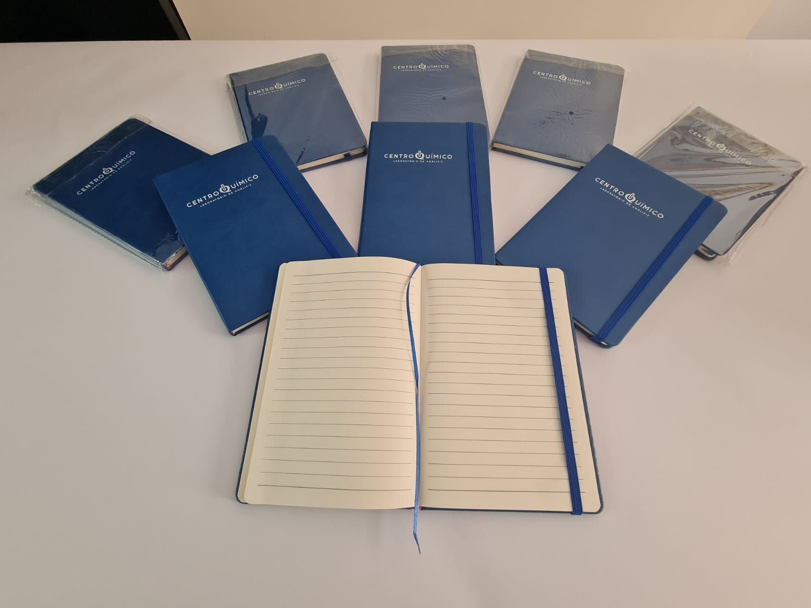 Libretas corporativas abiertas mostrando interiores